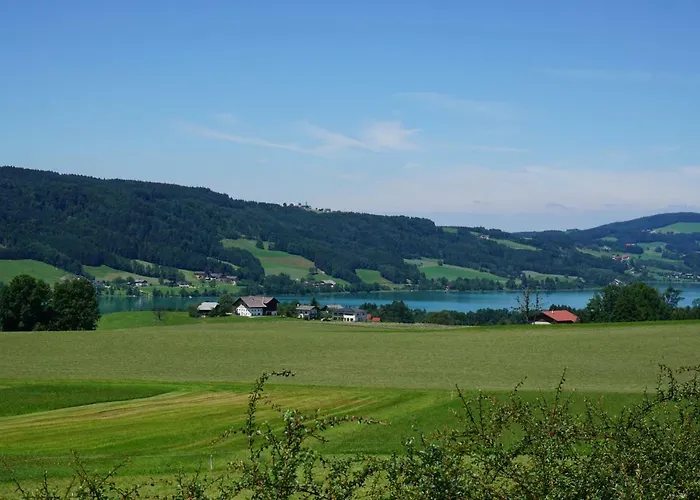 Hausleitner Διαμέρισμα Zell am Moos